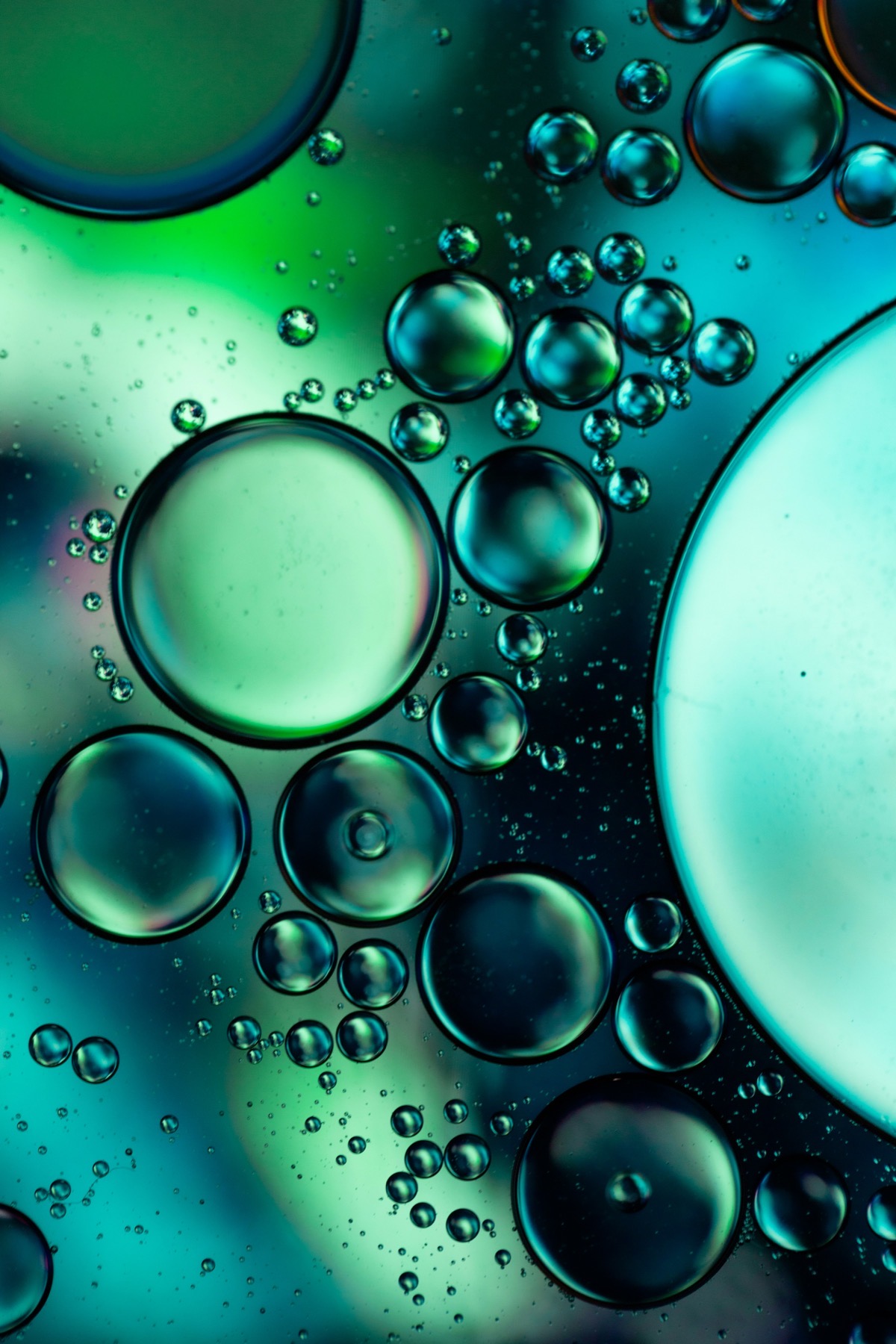 Colorful bubbles under a microscope