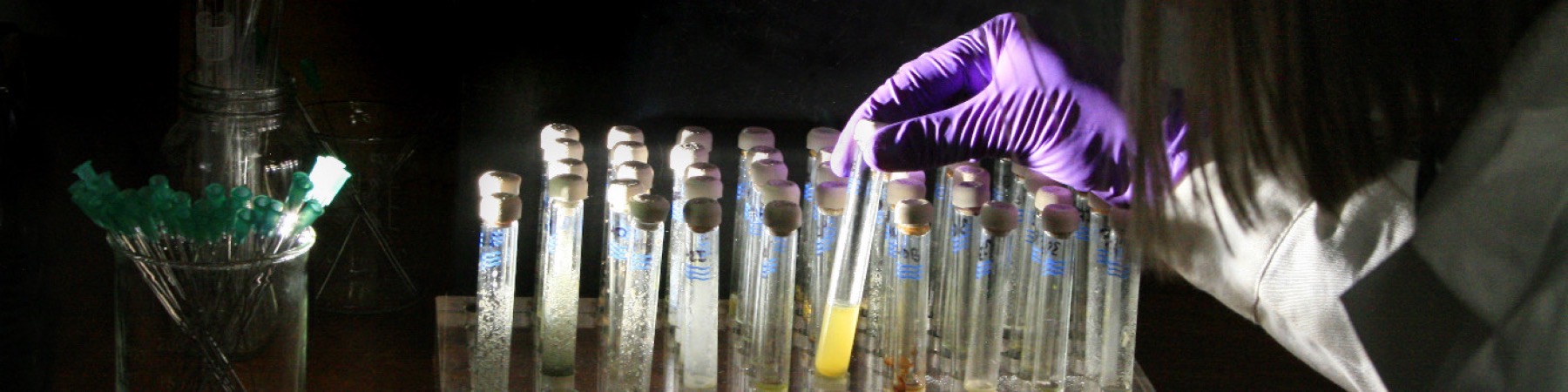 Chemistry lab test tubes